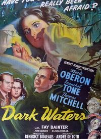 在线观看黑水,一场关于真相与阴谋的在线观影之旅  第1张